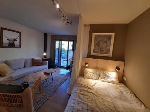 a living room with a bed and a couch at Acogedor estudio con terraza Besiberri 4 in Pla de l'Ermita