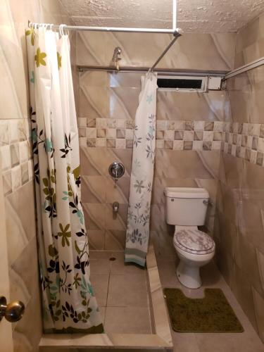 a small bathroom with a toilet and a shower curtain at Mango Vert Apartment in Arima