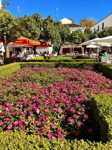 Mare Apartments Marbella photo 51
