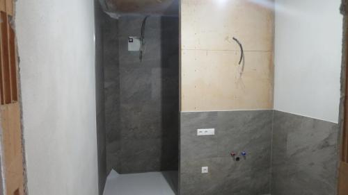 a shower in a bathroom with a glass door at Ferienhaus & -wohnung Flatscher in Waidring