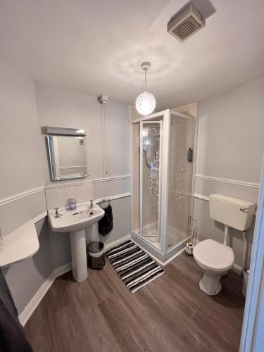 La salle de bains est pourvue d'une douche, d'un lavabo et de toilettes. dans l'établissement Fiddlestone Bar and B&B, à Belleek