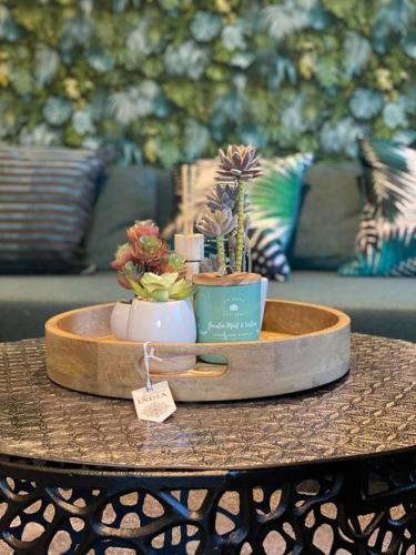 a table with two potted plants on top of it at Dorset Lodge Flat 3 in Gloucestershire