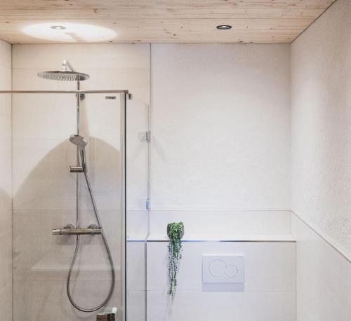 La salle de bains est pourvue d'une douche avec une porte en verre. dans l'établissement Apartment Aurelian, à Vandans
