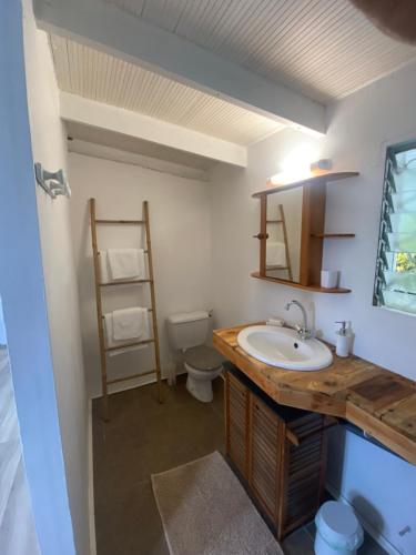 uma casa de banho com um lavatório e um WC em Notre Vie Là em Le Robert