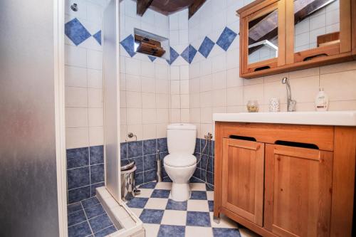 La salle de bains est pourvue de toilettes et d'un lavabo. dans l'établissement Zeusplace Pierion Villa Elatochori, à Elatochori