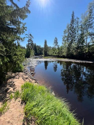 a small pond in the middle of a forest at Tretoppen - Ny moderne hytte, Unike Finnskogen in Torsby