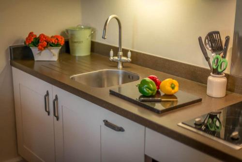 a kitchen counter with a sink and vegetables on a cutting board at Melin-Byrdir in Dyffryn