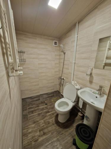 a bathroom with a toilet and a sink at Mankus Eco Park in Dzoraghpʼyur