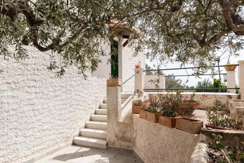 Villa Rosa – Photos 3