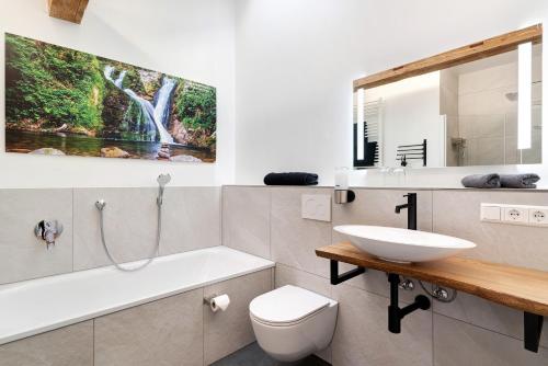 een badkamer met een wastafel, een toilet en een spiegel bij Wolf's Apartment Rheintal in Renchen