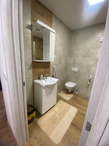 La salle de bains est pourvue d'un lavabo blanc et de toilettes. dans l'établissement Apartman Harmonija, à Inđija