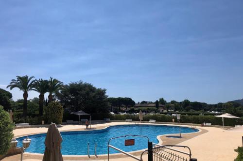 uma grande piscina com palmeiras ao fundo em Cosy family nest with balcony and shared pool em Mandelieu-la-Napoule