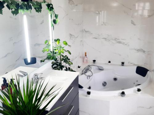 Photo de la galerie de l'établissement L'Élégant, à Douvaine