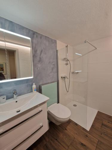 a bathroom with a shower and a toilet and a sink at Haus Rizzi in Bivio