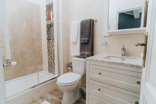 a bathroom with a toilet and a shower and a sink at Diplomat Villa in Baile Felix