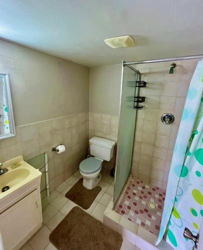 a bathroom with a toilet and a shower at Villa 224 South Finger 2-Bedroom Villa in Jolly Harbour, Walking Distance to the Beach in Jolly Harbour