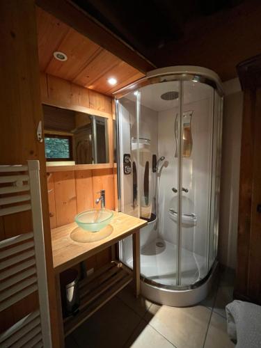 a bathroom with a shower and a sink at Apartment Les Rousses 3 minutes from Alpe dHuez Grand Domaine via Oz en Oisans in Oz