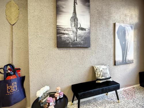 Charmant Studio en Centre-Ville, Proche Thermes avec Balcons et Wifi – Animaux Acceptés - FR-1-451-177