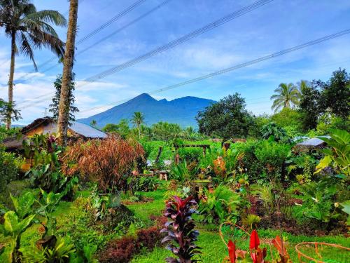 a garden with palm trees and a mountain in the background at LK Farmcation Cabin Ligaya - Lucban, Quezon in Nalunao