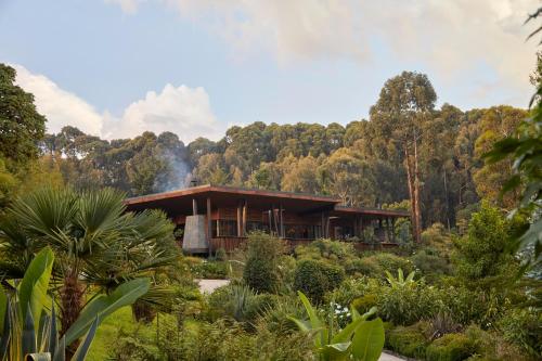 a house in the middle of a forest at One&Only Gorilla's Nest in Kinigi