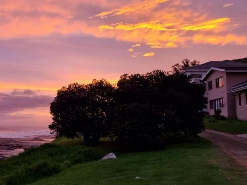 a tree in front of a house with a sunset at Stumble Inn in Haga-Haga