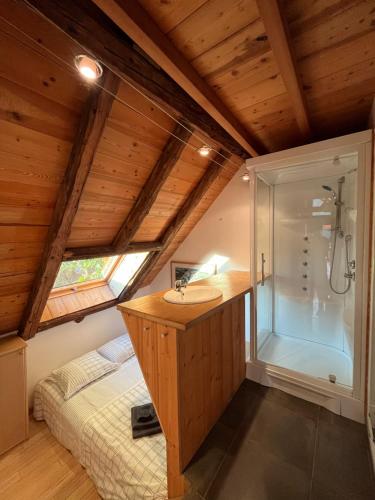 a bathroom with a shower and a sink and a bed at The Loft 3 minutes from Alpe dHuez Grand Domaine via Oz en Oisans in Oz