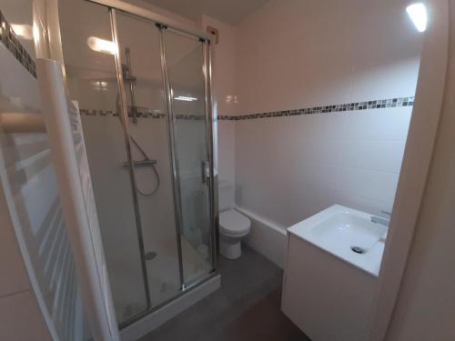 une salle de bain avec une douche, des toilettes et un lavabo dans l'établissement Appartement cozy à Capbreton, 4 couchages, proche port et plage - FR-1-239-987, à Capbreton