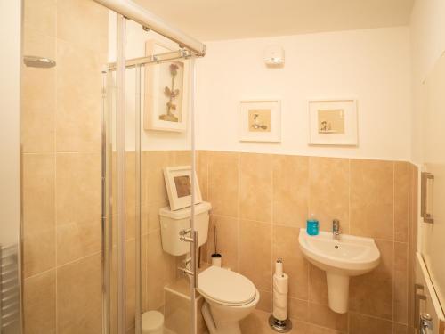 La salle de bains est pourvue d'une douche, de toilettes et d'un lavabo. dans l'établissement Cottage 360 - Clifden, à Clifden
