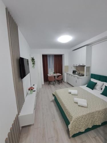 1 dormitorio con 1 cama y sala de estar en Anne Studio, en Onești