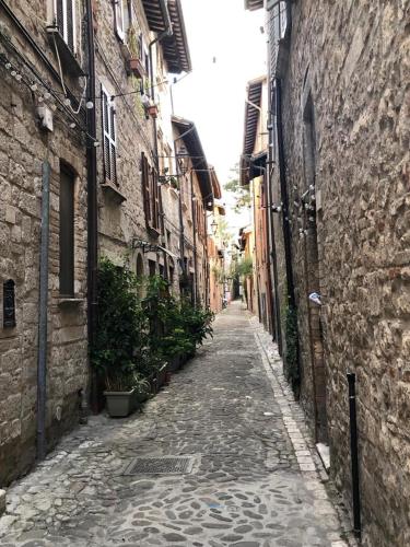 un vicolo con edifici e una strada di ciottoli di Torri e Campanili ad Ascoli Piceno