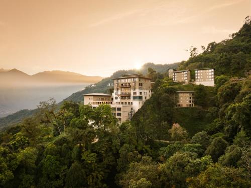 a building on top of a hill with trees at Taj Guras Kutir Resort & Spa, Gangtok in Gangtok