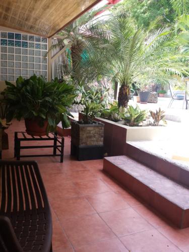 a patio with a bunch of potted plants at Coyaba Tropical Elegant Adult Guesthouse in Manuel Antonio
