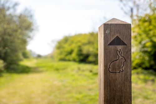 a wooden post with a drawing of a rabbit on it at Camping Pods, Marlie Holiday Park in New Romney