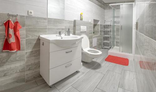 a bathroom with a sink and a toilet and a shower at Domeček Janov in Janov