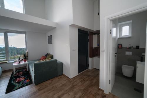 a living room with a green couch and a window at Kuca 59 in Jahorina