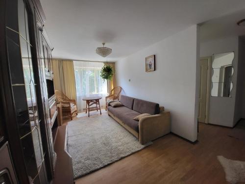 sala de estar con sofá y mesa en Квартира на Заньковецкой, en Uzhhorod