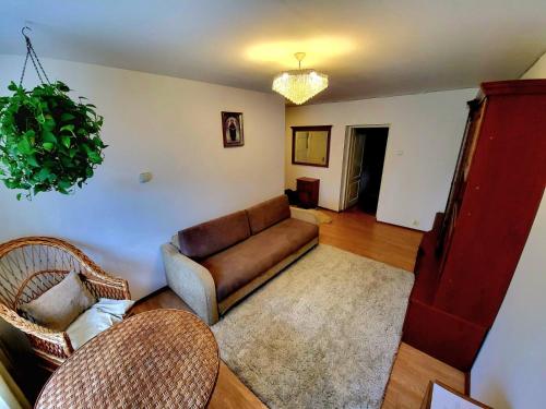 sala de estar con sofá y alfombra en Квартира на Заньковецкой, en Uzhhorod