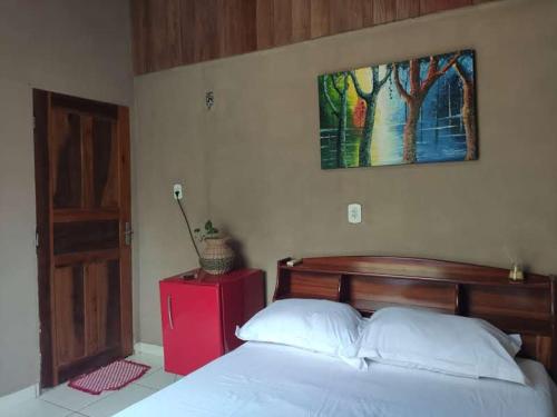 1 dormitorio con 1 cama y una foto en la pared en Ribeirinhos Hostel, en Maués