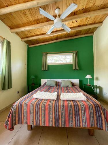 1 dormitorio verde con 1 cama con ventilador de techo en Ciudad alegre en San Rafael