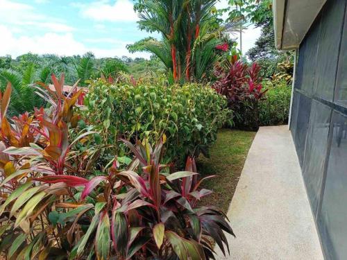 Tropical Oasis in Ojochalにある庭