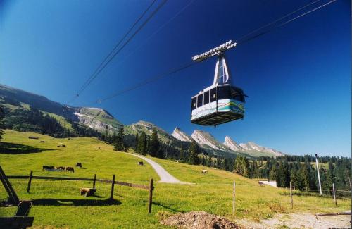 a gondola flying over a green field with mountains at Schwendi Lodge in Unterwasser