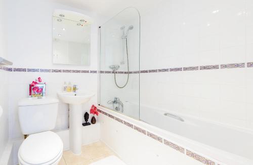 a bathroom with a toilet and a shower and a sink at 3 Europa Court, in Mawgan Porth