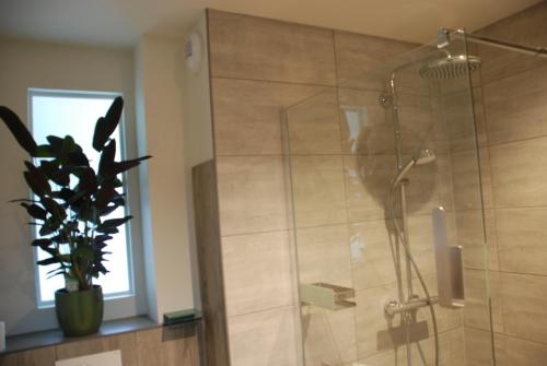 uma casa de banho com um chuveiro e um vaso de plantas em Gîte'appart "des cîmes et jardin" em Illkirch-Graffenstaden