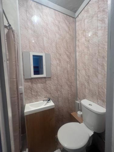 ein Bad mit einem WC und einem Waschbecken in der Unterkunft No 1 Lord Street in Blackpool