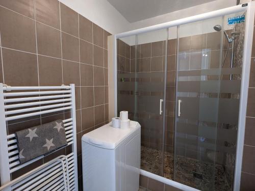 une petite salle de bain avec douche et toilettes dans l'établissement T2 cabine 35m2 au port d'Arcachon avec balcon et parking sécurisé - FR-1-420-28, à Arcachon
