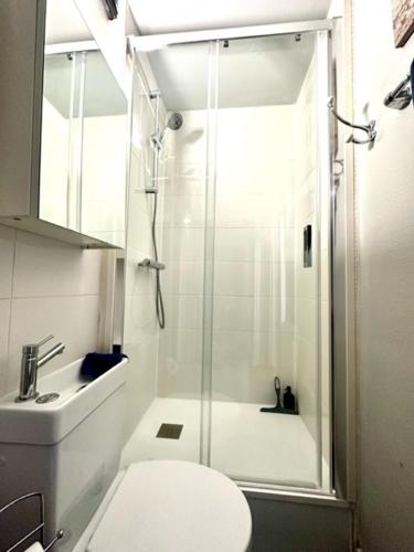 une salle de bain avec une douche, des toilettes et un lavabo dans l'établissement Petit studio plage Le galet bleu, au Havre