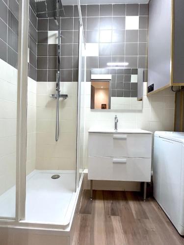 une salle de bain avec douche et lavabo dans l'établissement Loft Vincennes, à Vincennes