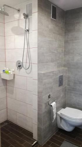 a bathroom with a toilet and a shower at Sosnowiec przy placu in Sosnowiec