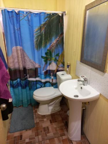 a bathroom with a toilet and a sink and a shower curtain at Cabañas y hostal sol de oriente in Puerto Montt