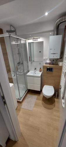 a bathroom with a shower and a toilet and a sink at Apartament Koszutka - 100m od Spodka in Katowice